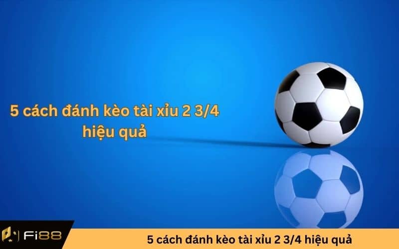 cách đánh kèo tài xỉu 2 3/4