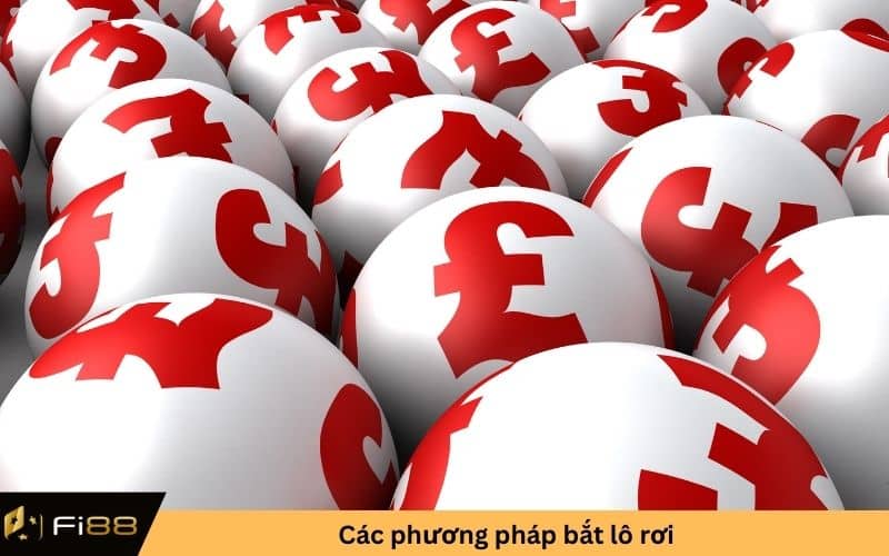 Các phương pháp bắt lô rơi