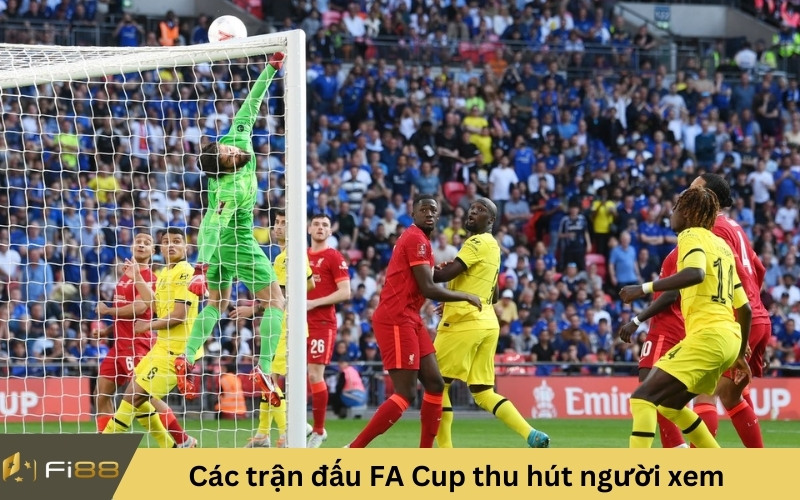 Các trận đấu FA Cup thu hút người xem