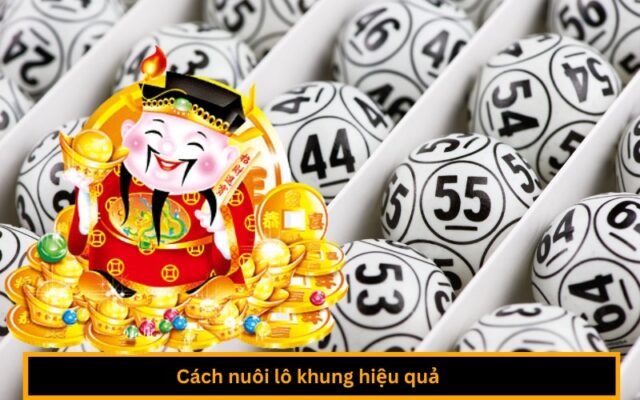 Cách nuôi lô khung hiệu quả