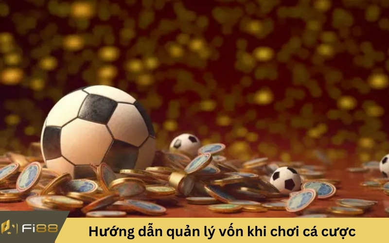 Hướng dẫn quản lý vốn khi chơi cá cược thể thao