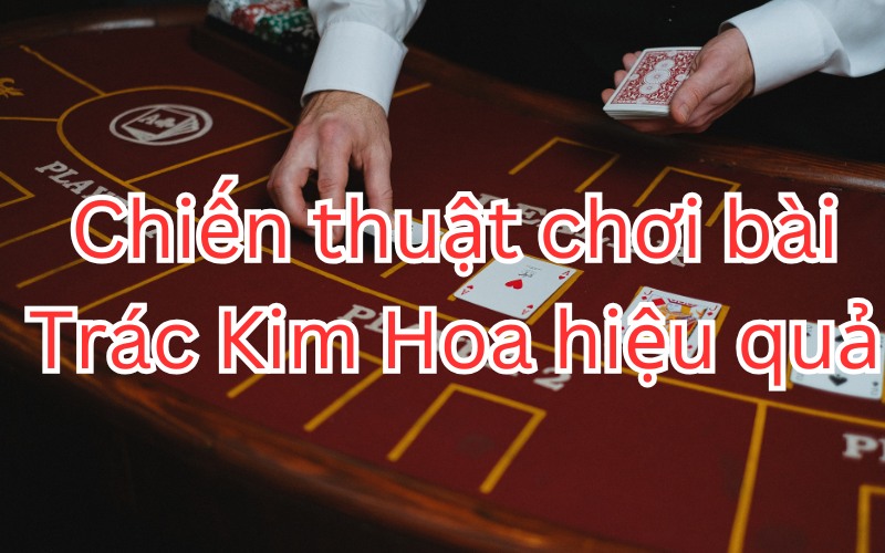 Chiến thuật chơi bài Trác Kim Hoa hiệu quả