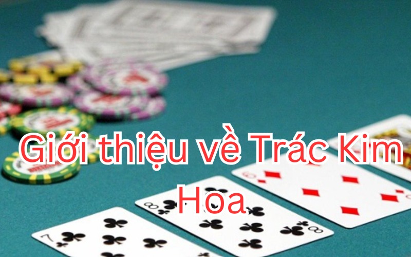 Giới thiệu về Trác Kim Hoa